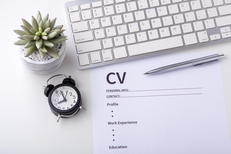 cv writing services